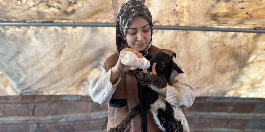 Hayvanları depremde öldü, devlet destek verdi: Sayılarını 3 yılda 2 kat artırdı 6